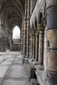 IMG_0521